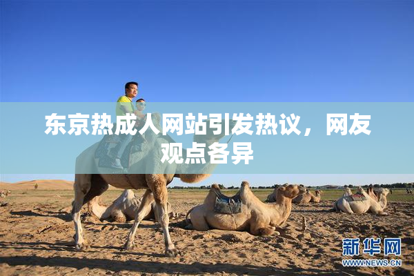 东京热成人网站引发热议，网友观点各异