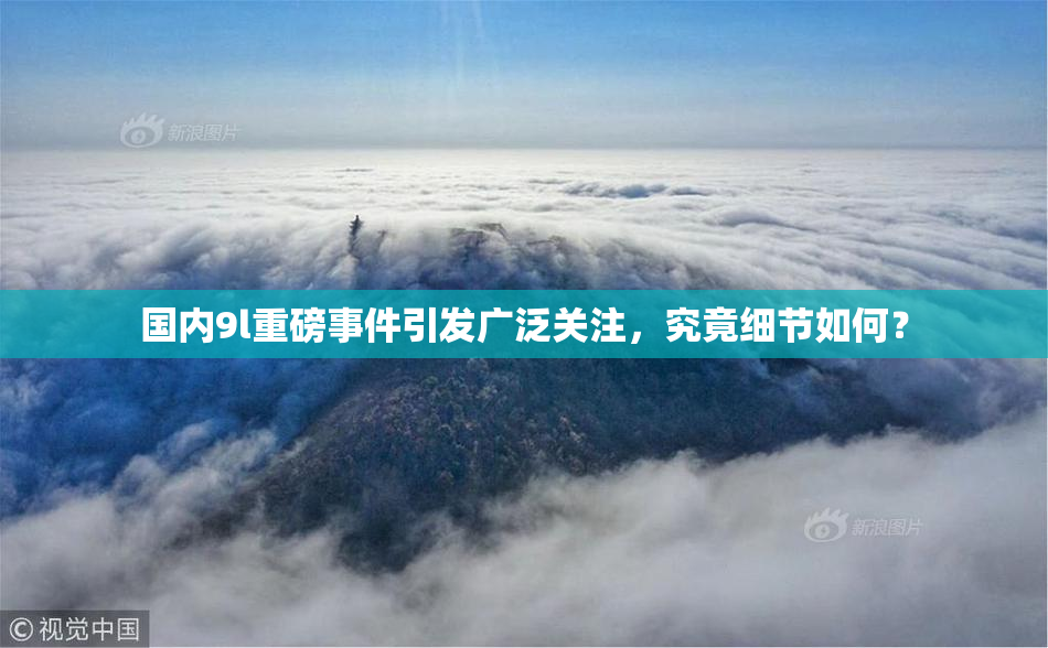 国内9l重磅事件引发广泛关注，究竟细节如何？
