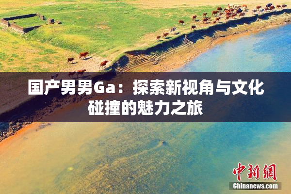 国产男男Ga：探索新视角与文化碰撞的魅力之旅