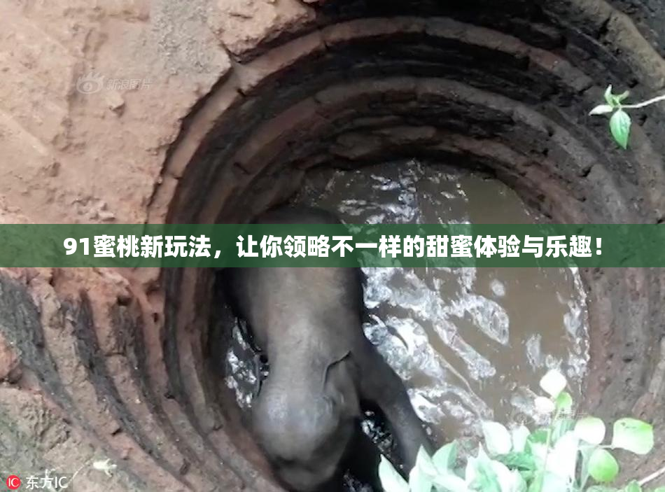 91蜜桃新玩法，让你领略不一样的甜蜜体验与乐趣！