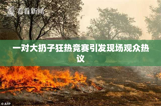 一对大扔子狂热竞赛引发现场观众热议