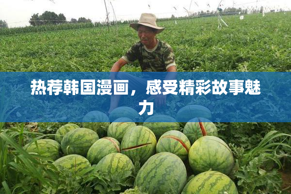 热荐韩国漫画，感受精彩故事魅力