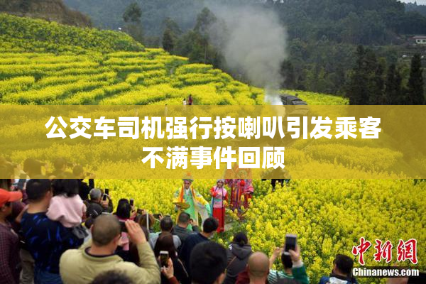 公交车司机强行按喇叭引发乘客不满事件回顾
