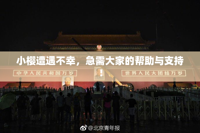 小樱遭遇不幸，急需大家的帮助与支持！