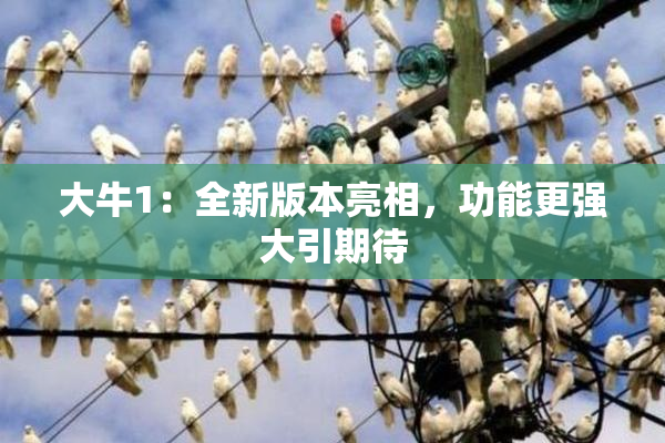 大牛1：全新版本亮相，功能更强大引期待