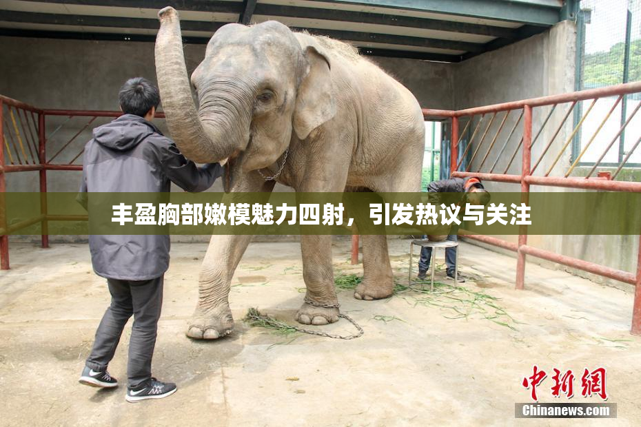 丰盈胸部嫩模魅力四射，引发热议与关注