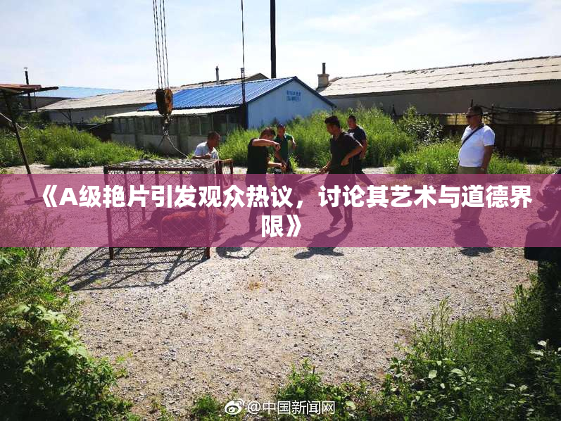 《A级艳片引发观众热议，讨论其艺术与道德界限》
