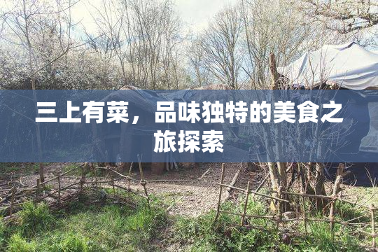 三上有菜，品味独特的美食之旅探索
