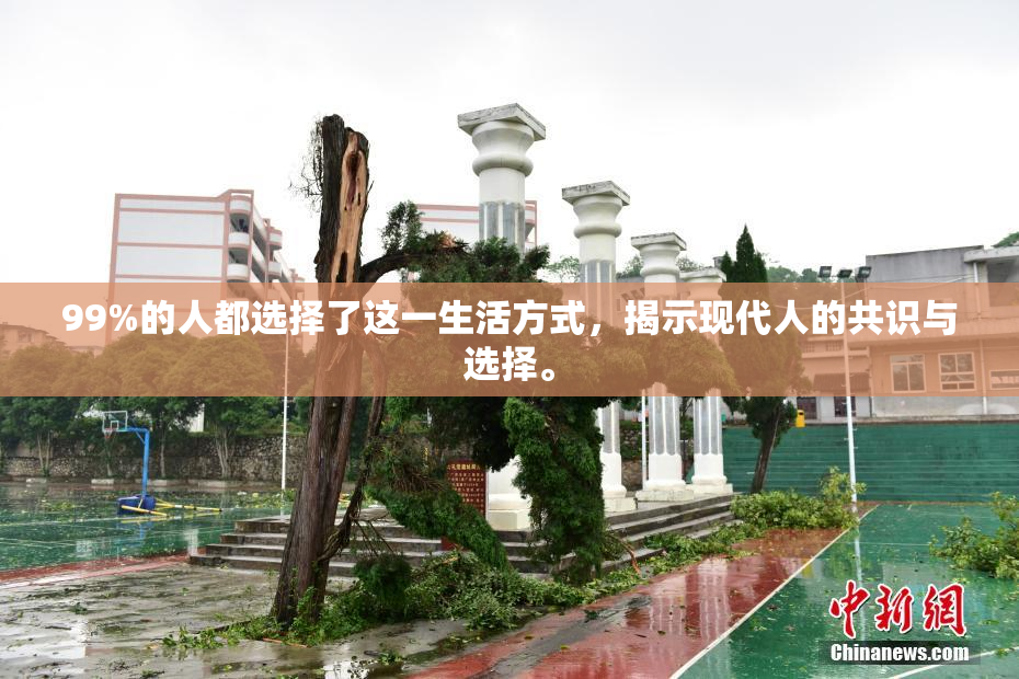 99%的人都选择了这一生活方式，揭示现代人的共识与选择。