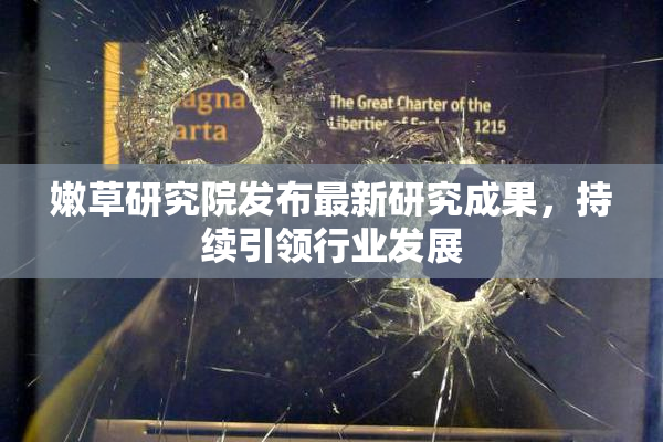 嫩草研究院发布最新研究成果，持续引领行业发展