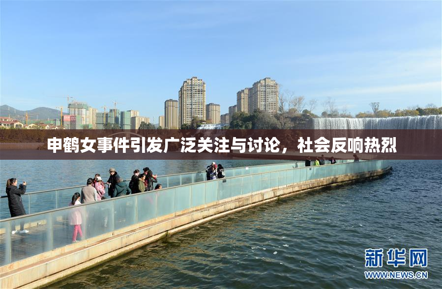 申鹤女事件引发广泛关注与讨论，社会反响热烈