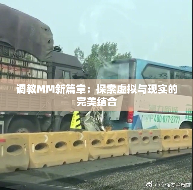 调教MM新篇章：探索虚拟与现实的完美结合