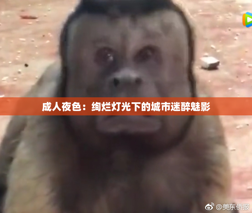 成人夜色：绚烂灯光下的城市迷醉魅影