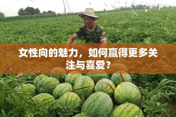 女性向的魅力，如何赢得更多关注与喜爱？