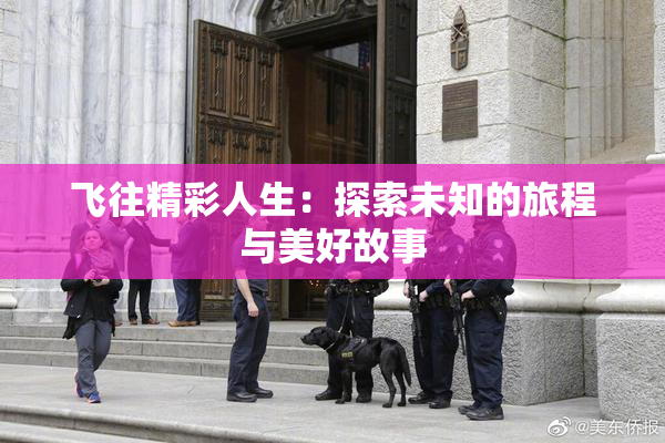 飞往精彩人生：探索未知的旅程与美好故事