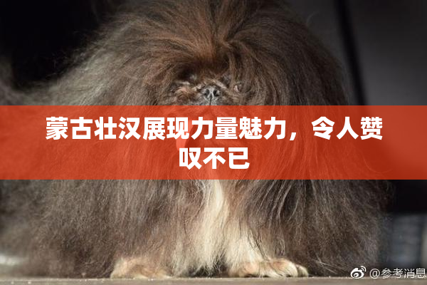 蒙古壮汉展现力量魅力，令人赞叹不已