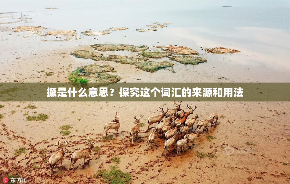 撅是什么意思？探究这个词汇的来源和用法