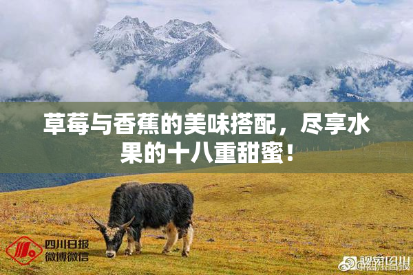 草莓与香蕉的美味搭配，尽享水果的十八重甜蜜！