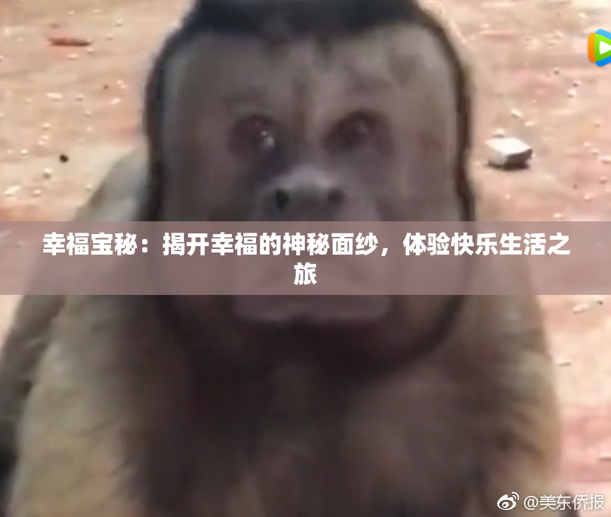 幸福宝秘：揭开幸福的神秘面纱，体验快乐生活之旅