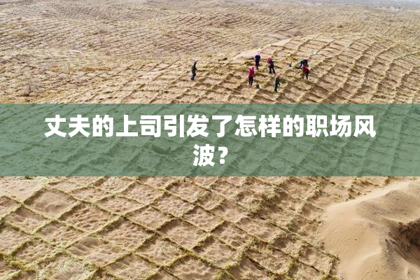 丈夫的上司引发了怎样的职场风波？
