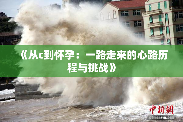 《从c到怀孕：一路走来的心路历程与挑战》