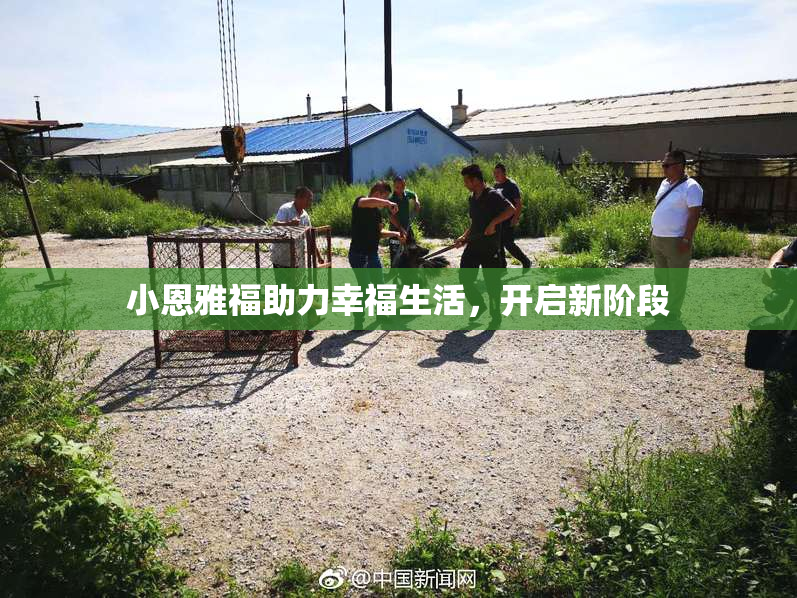 小恩雅福助力幸福生活，开启新阶段