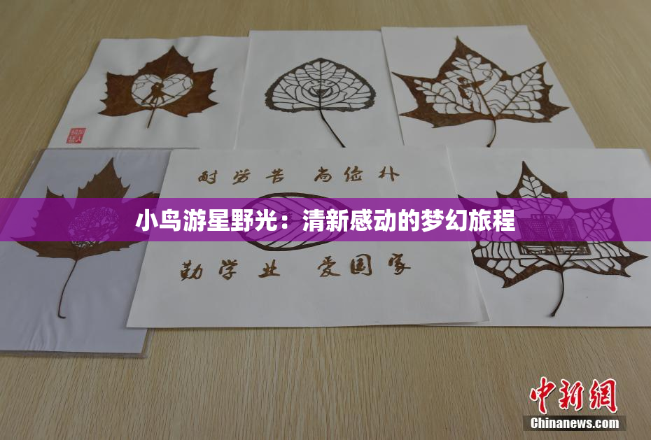 小鸟游星野光：清新感动的梦幻旅程