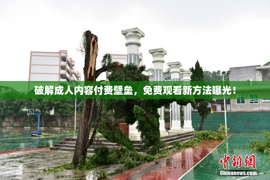破解成人内容付费壁垒，免费观看新方法曝光！