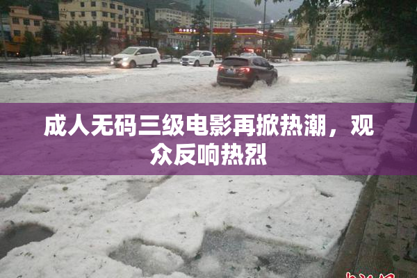 成人无码三级电影再掀热潮，观众反响热烈