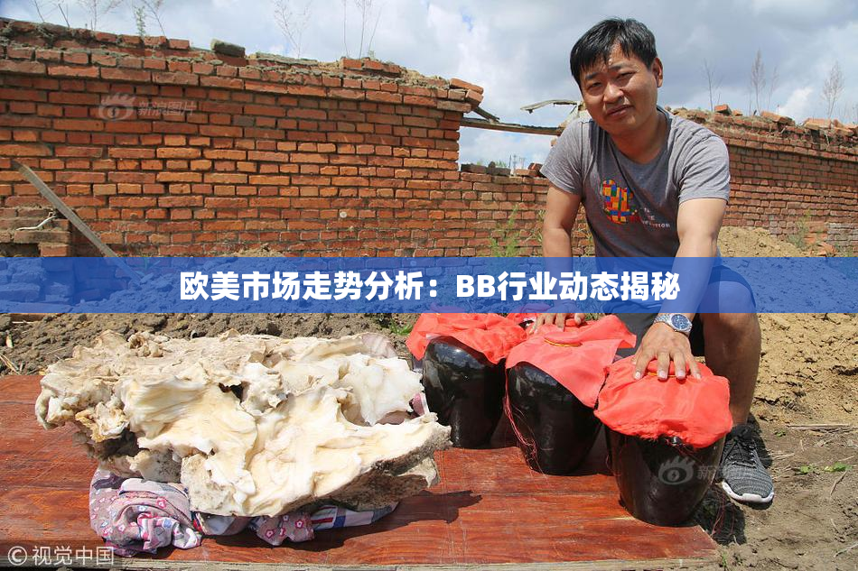 欧美市场走势分析：BB行业动态揭秘