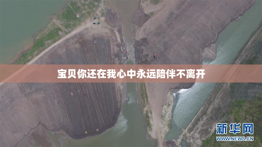 宝贝你还在我心中永远陪伴不离开