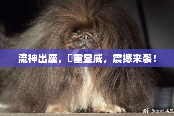 流神出座，狛重显威，震撼来袭！