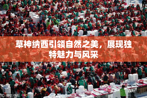 草神纳西引领自然之美，展现独特魅力与风采