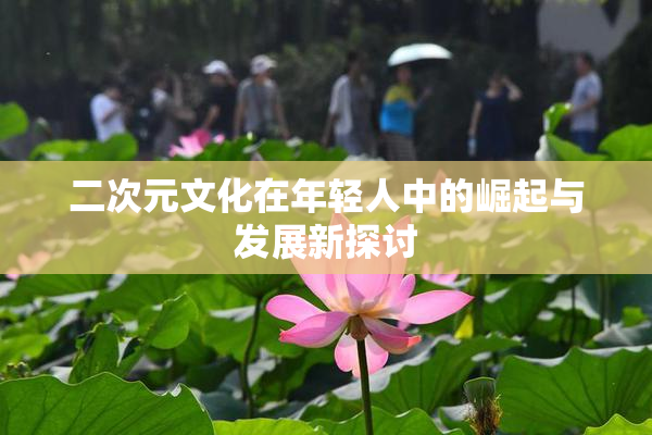 二次元文化在年轻人中的崛起与发展新探讨
