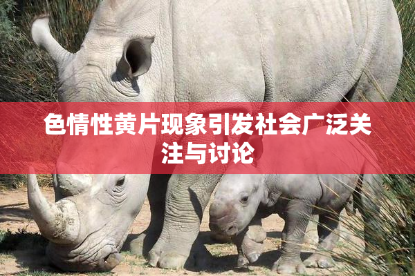 色情性黄片现象引发社会广泛关注与讨论