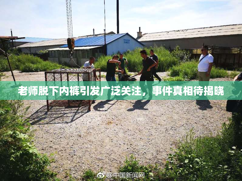 老师脱下内裤引发广泛关注，事件真相待揭晓
