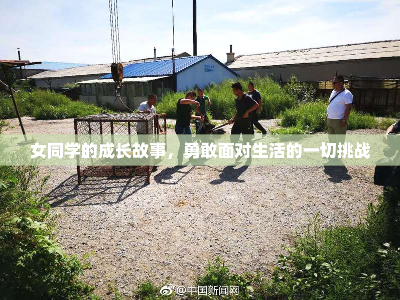 女同学的成长故事，勇敢面对生活的一切挑战