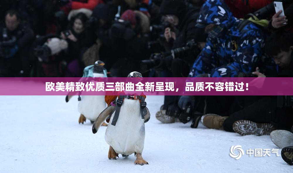 欧美精致优质三部曲全新呈现，品质不容错过！