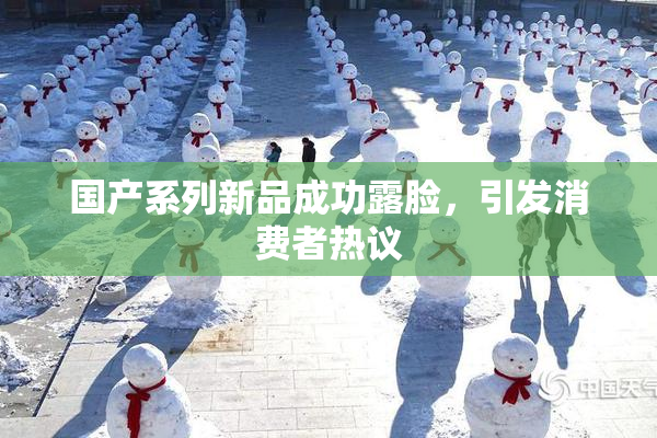 国产系列新品成功露脸，引发消费者热议