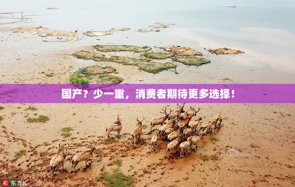 国产？少一重，消费者期待更多选择！
