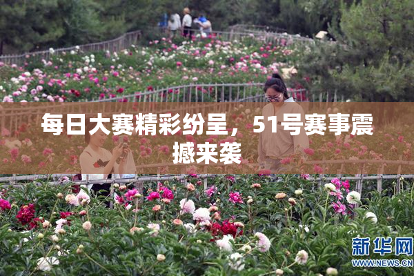 每日大赛精彩纷呈，51号赛事震撼来袭