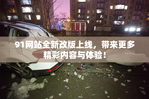 91网站全新改版上线，带来更多精彩内容与体验！