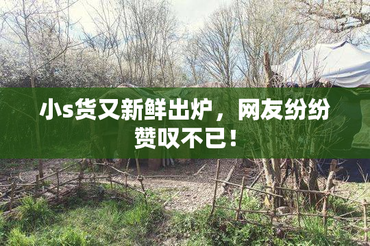 小s货又新鲜出炉，网友纷纷赞叹不已！