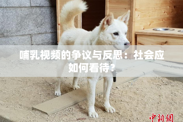 哺乳视频的争议与反思：社会应如何看待？