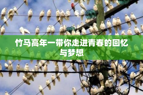 竹马高年一带你走进青春的回忆与梦想