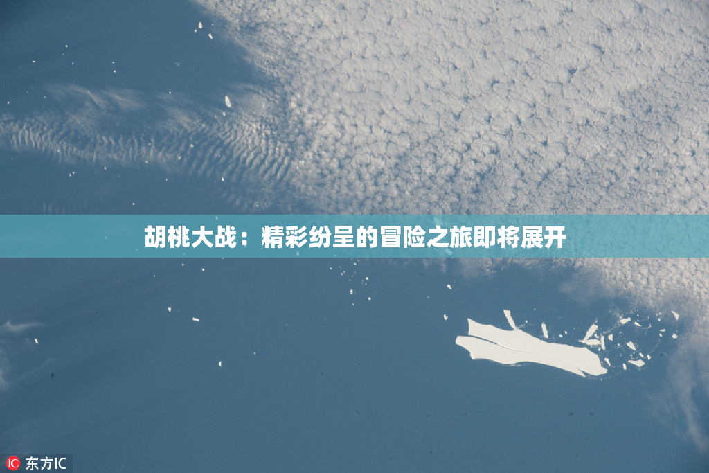 胡桃大战：精彩纷呈的冒险之旅即将展开