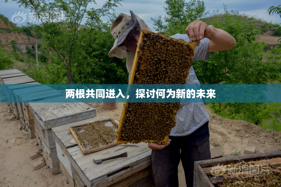 两根共同进入，探讨何为新的未来