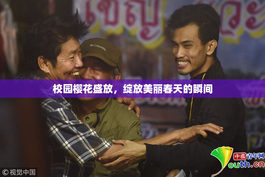 校园樱花盛放，绽放美丽春天的瞬间