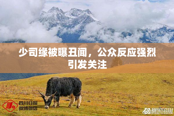 少司缘被曝丑闻，公众反应强烈引发关注