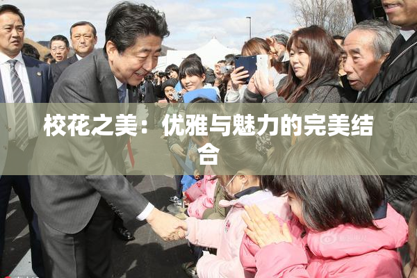 校花之美：优雅与魅力的完美结合